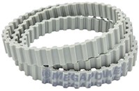 Megadyne Tandriem MP 20 T2,5-457,5 Dubbel Getand